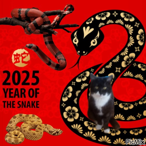 zoza1958 uploaded   1 year/s ago
