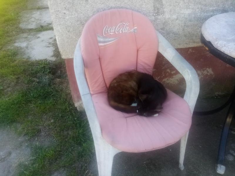 zoza1958 uploaded   351  day/s  ago