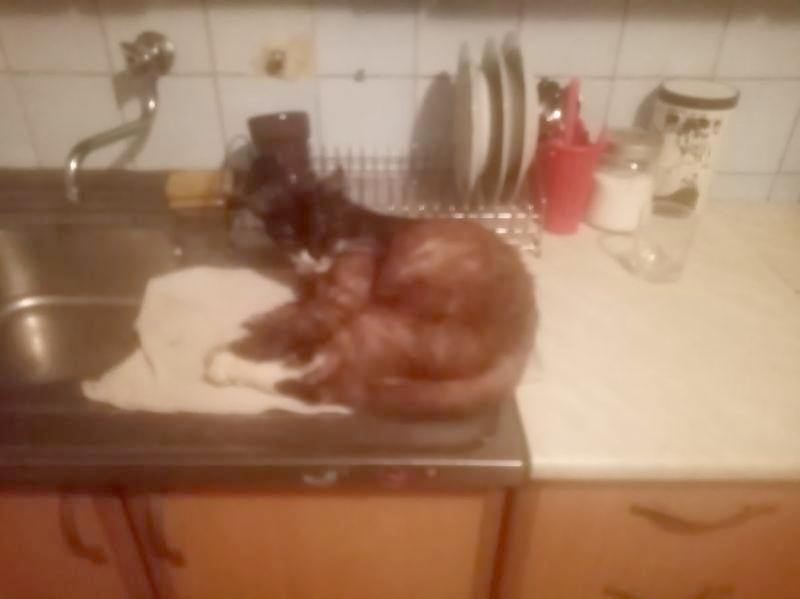 zoza1958 uploaded   301  day/s  ago