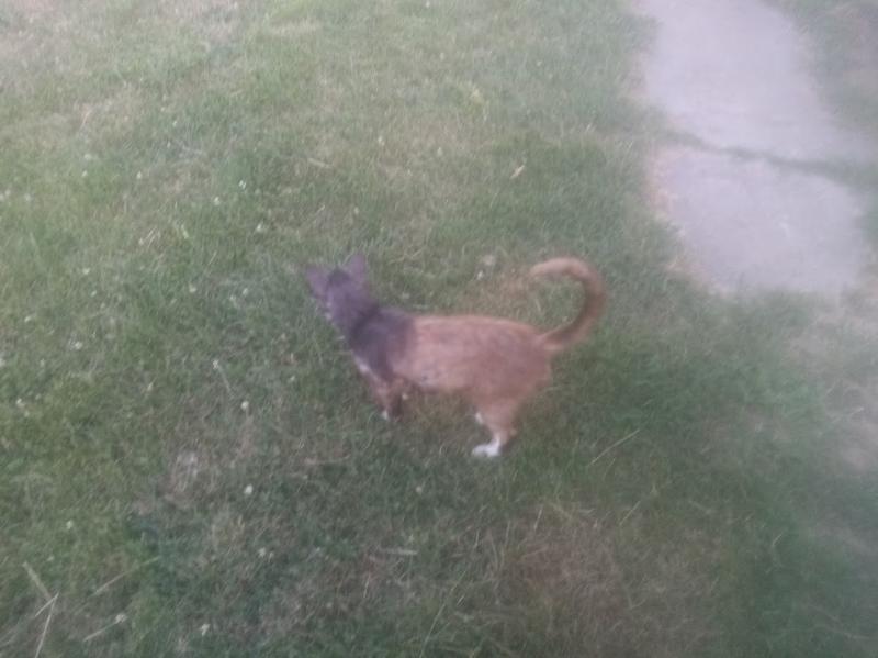 zoza1958 uploaded   300  day/s  ago