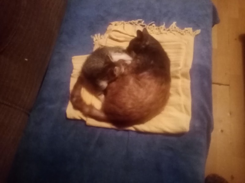 zoza1958 uploaded   309  day/s  ago