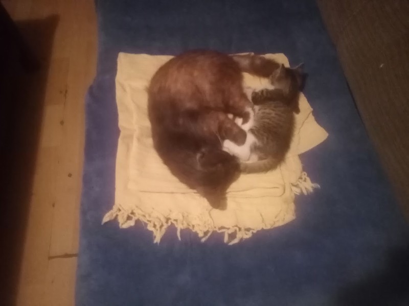 zoza1958 uploaded   309  day/s  ago