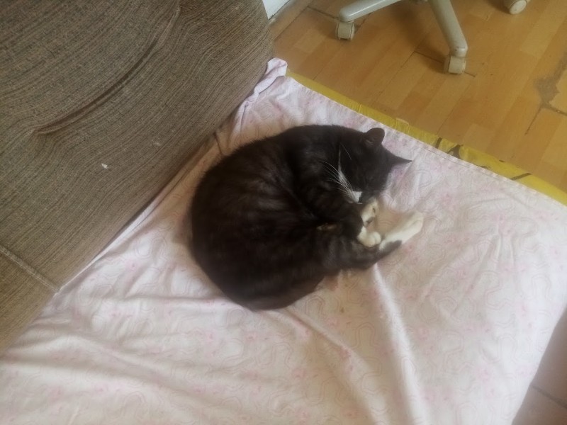 zoza1958 uploaded   218  day/s  ago