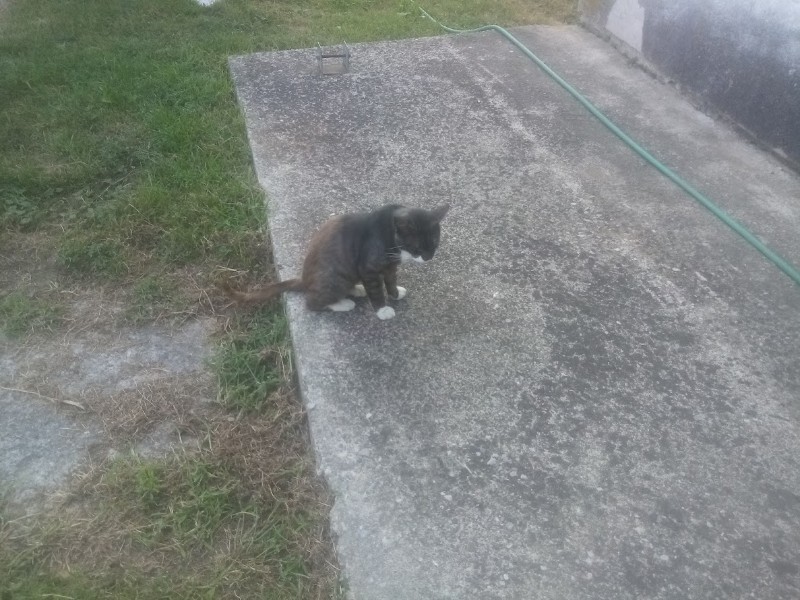 zoza1958 uploaded   252  day/s  ago