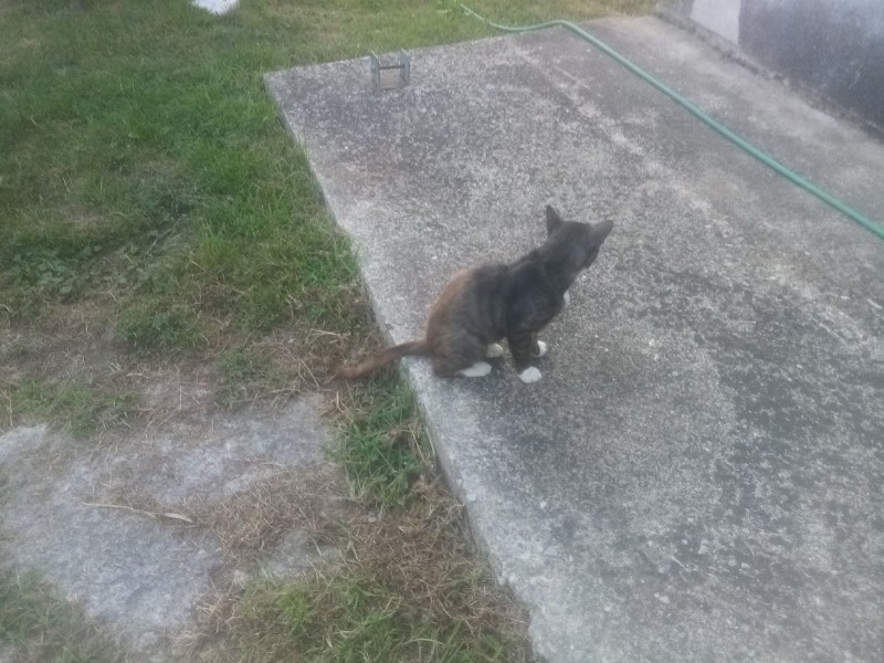 zoza1958 uploaded   252  day/s  ago