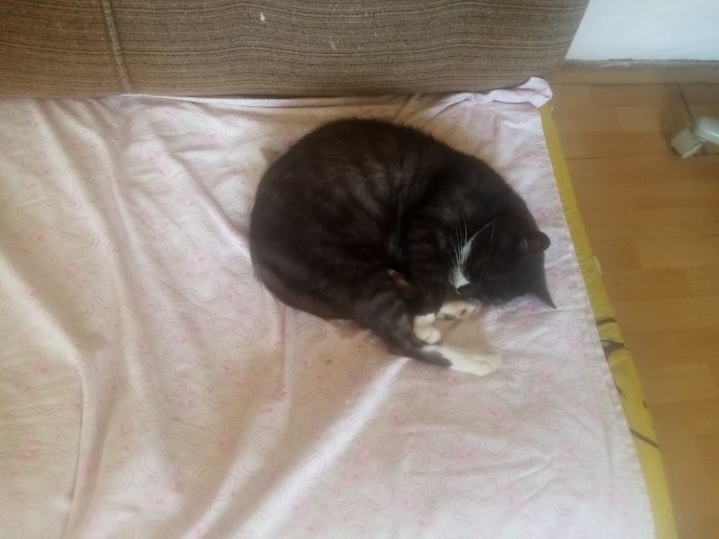 zoza1958 uploaded   218  day/s  ago