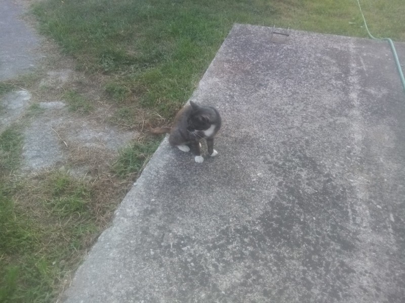 zoza1958 uploaded   252  day/s  ago