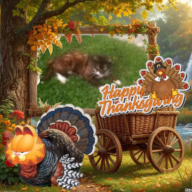 Prince Fifi of the zoza1958 family