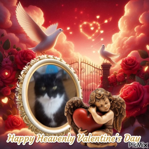 Prince Fifi of the zoza1958 family