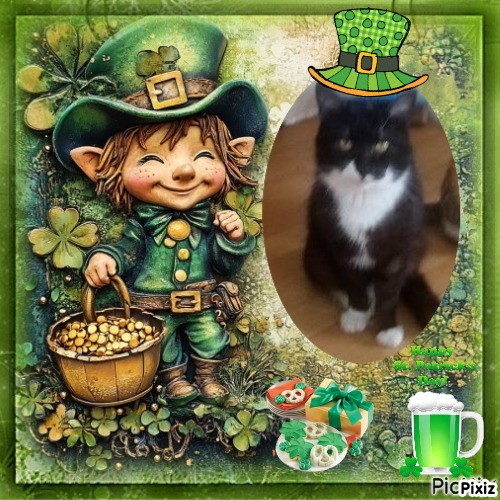 Prince Fifi of the zoza1958 family