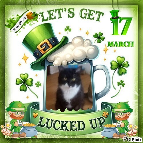 Prince Fifi of the zoza1958 family