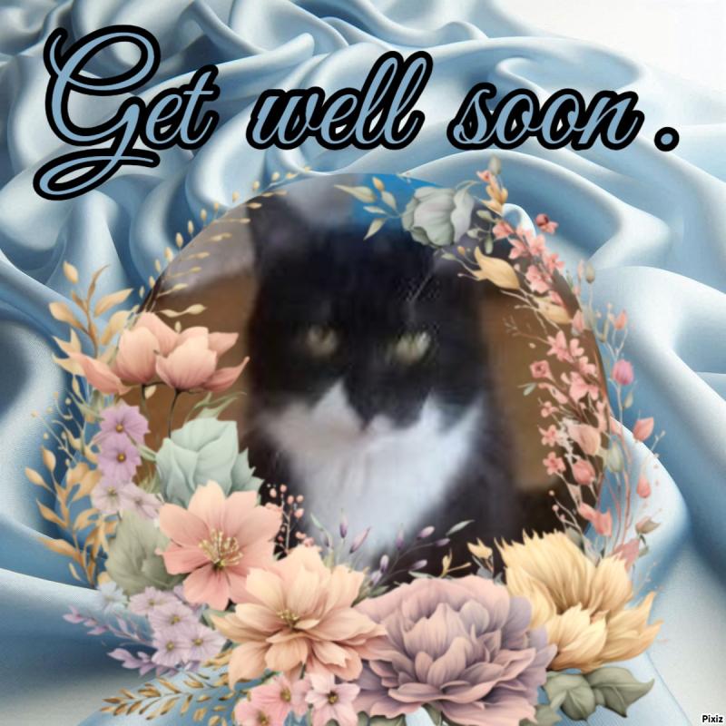 zoza1958 uploaded   99  day/s  ago