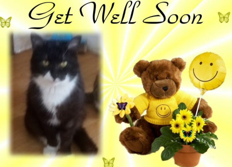 zoza1958 uploaded   99  day/s  ago