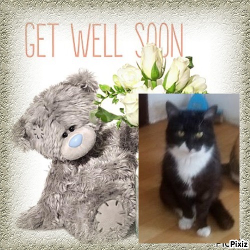 zoza1958 uploaded   99  day/s  ago