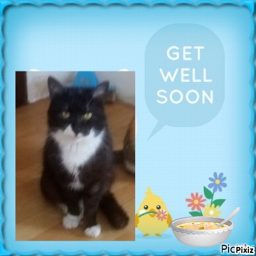 zoza1958 uploaded   99  day/s  ago