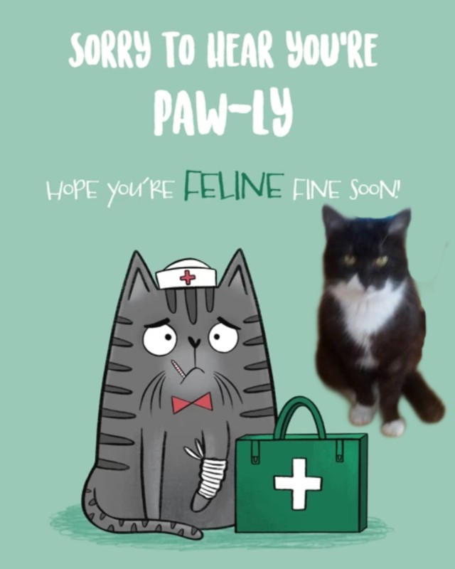 zoza1958 uploaded   98  day/s  ago