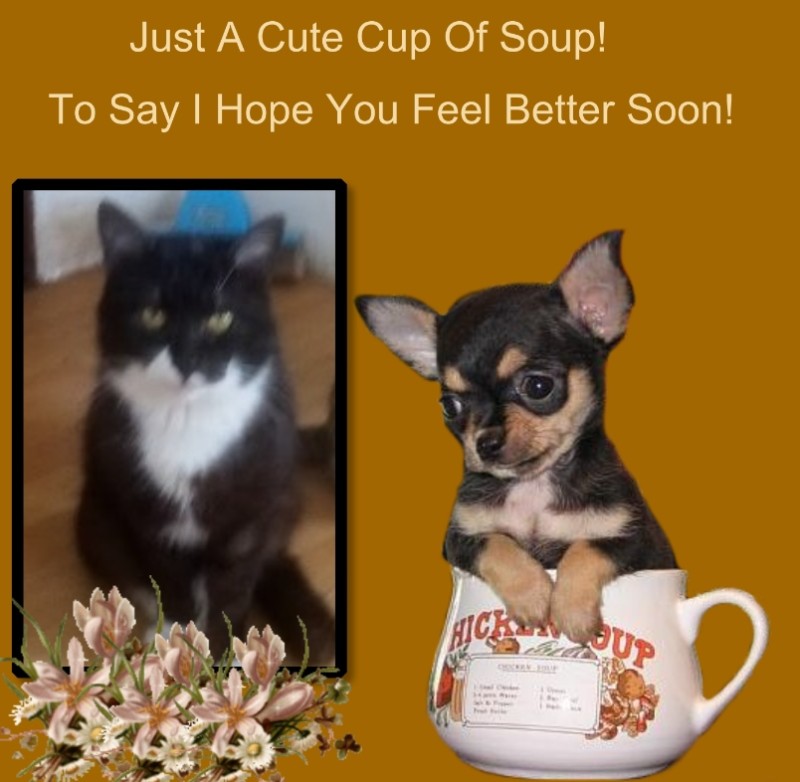 zoza1958 uploaded   99  day/s  ago