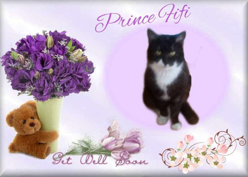 zoza1958 uploaded   98  day/s  ago