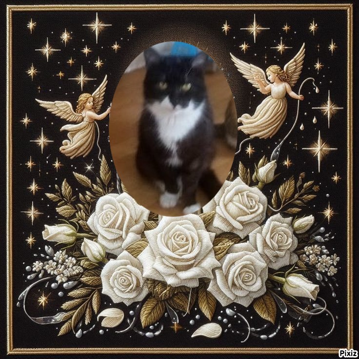 zoza1958 uploaded   98  day/s  ago