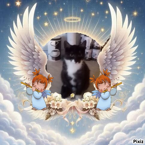 zoza1958 uploaded   98  day/s  ago