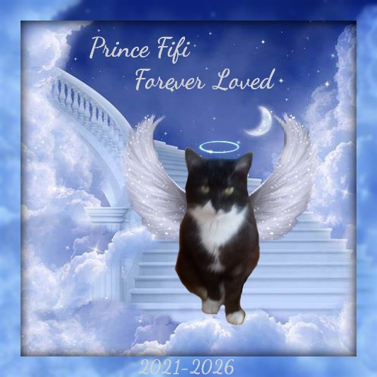 Prince Fifi of the zoza1958 family