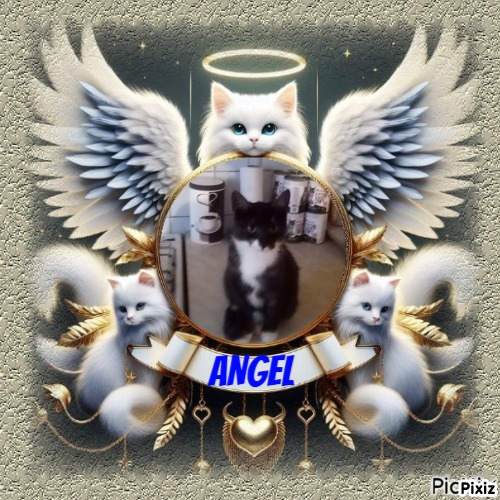 zoza1958 uploaded   98  day/s  ago