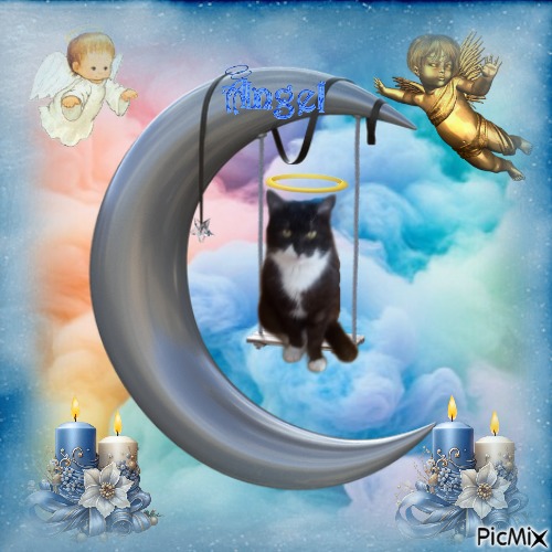 zoza1958 uploaded   98  day/s  ago