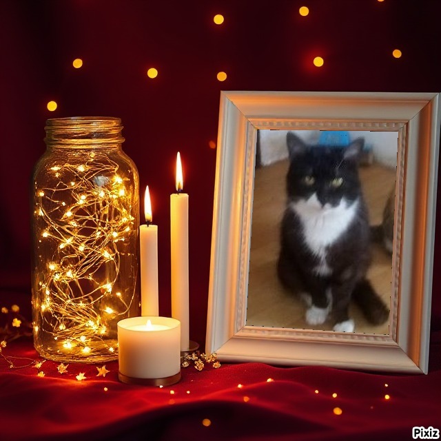 zoza1958 uploaded   98  day/s  ago