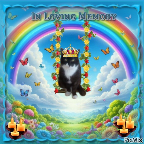 zoza1958 uploaded   98  day/s  ago