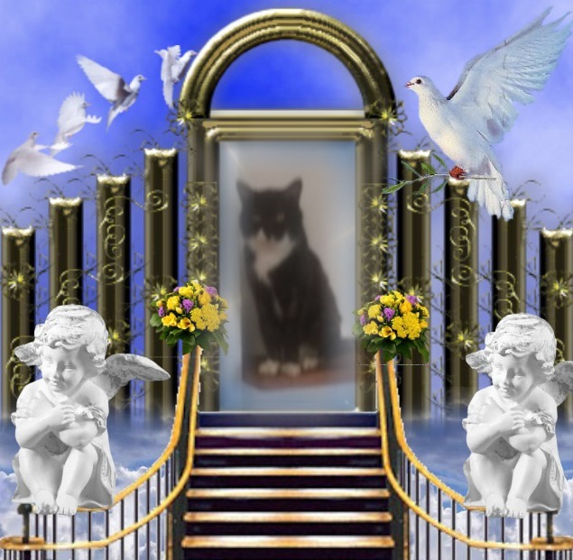 zoza1958 uploaded   97  day/s  ago