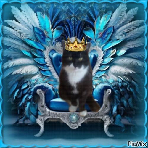 zoza1958 uploaded   98  day/s  ago