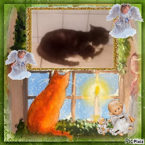 zoza1958 uploaded   98  day/s  ago