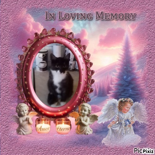 zoza1958 uploaded   98  day/s  ago