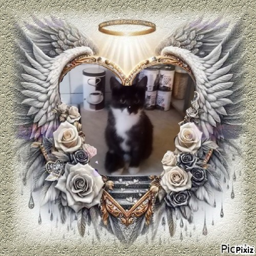 zoza1958 uploaded   98  day/s  ago