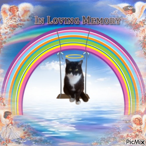 zoza1958 uploaded   98  day/s  ago