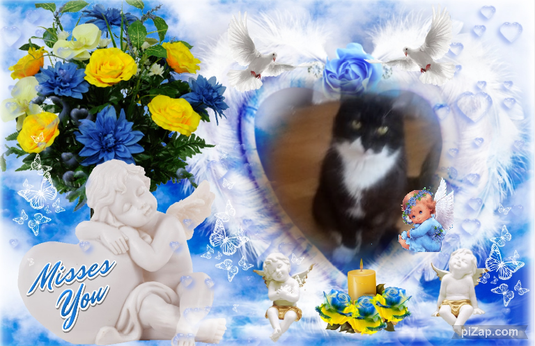 zoza1958 uploaded   97  day/s  ago