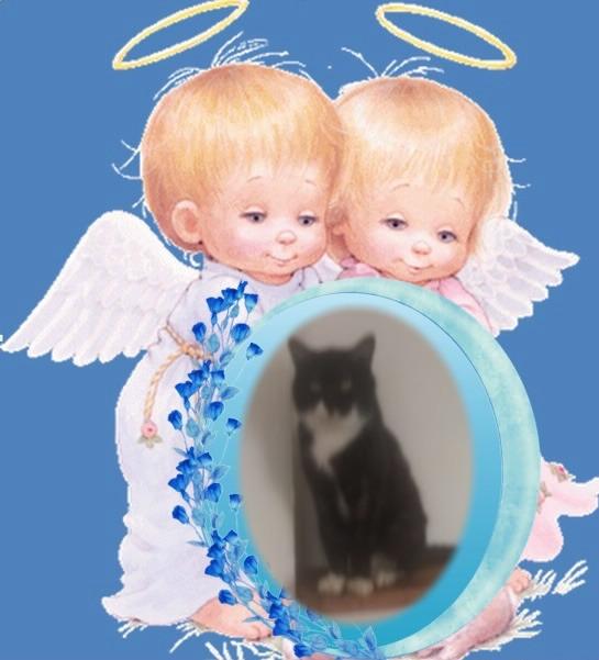 zoza1958 uploaded   97  day/s  ago