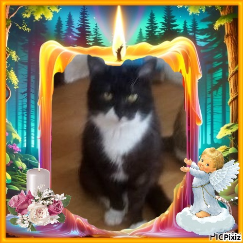 zoza1958 uploaded   98  day/s  ago