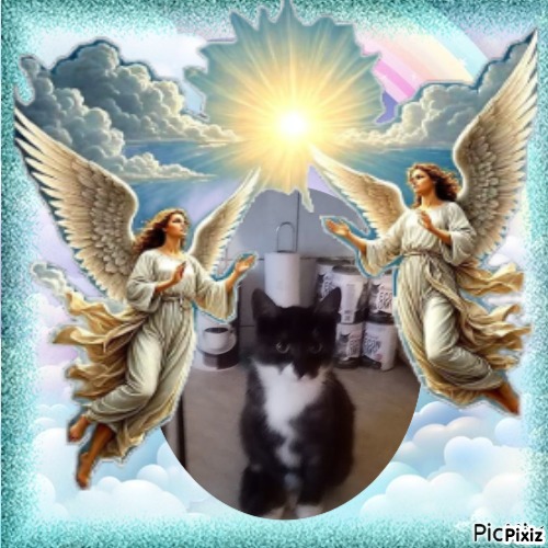 zoza1958 uploaded   98  day/s  ago