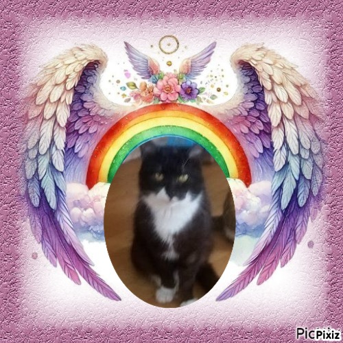 zoza1958 uploaded   98  day/s  ago