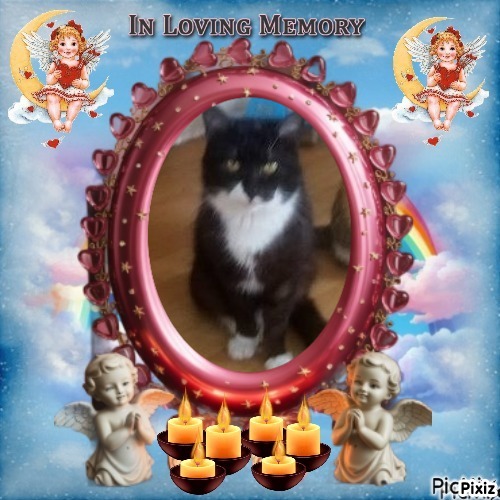 zoza1958 uploaded   98  day/s  ago