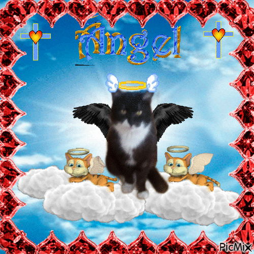 zoza1958 uploaded   98  day/s  ago