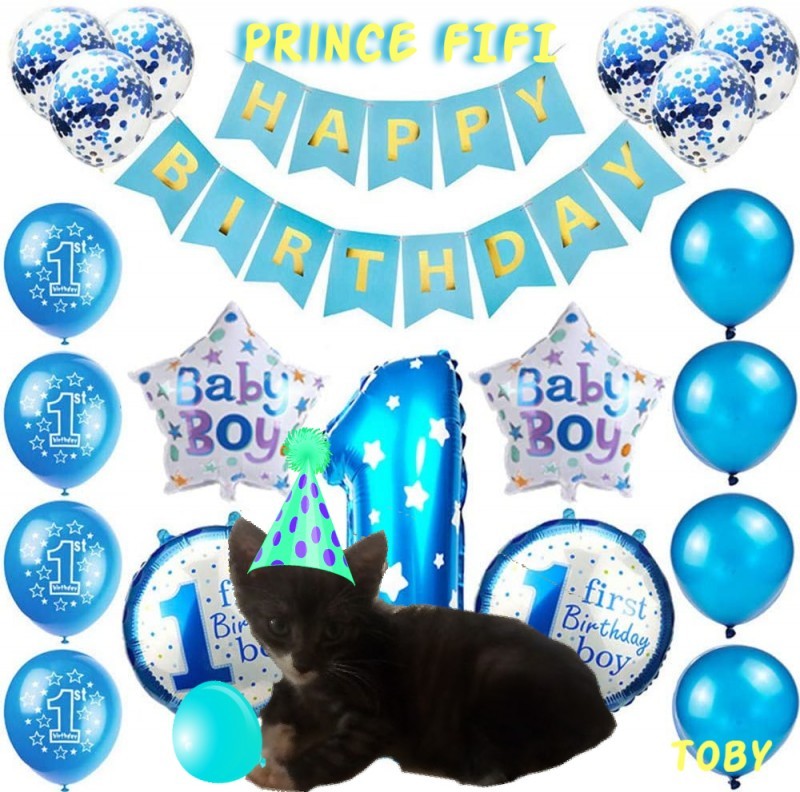 Prince Fifi of the zoza1958 family