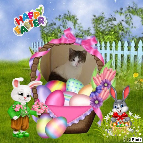 Prince Cvarak of the zoza1958 family