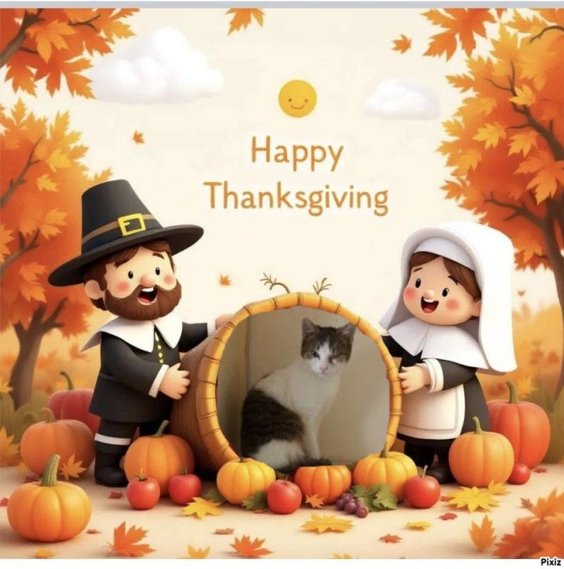 Prince Cvarak of the zoza1958 family