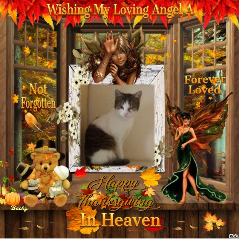 Prince Cvarak of the zoza1958 family