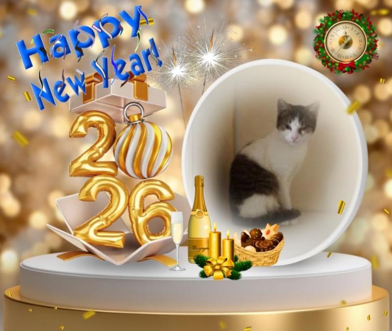 Prince Cvarak of the zoza1958 family