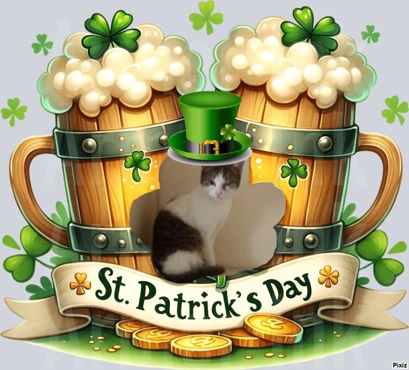 Prince Cvarak of the zoza1958 family