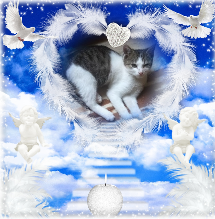 Prince Cvarak of the zoza1958 family