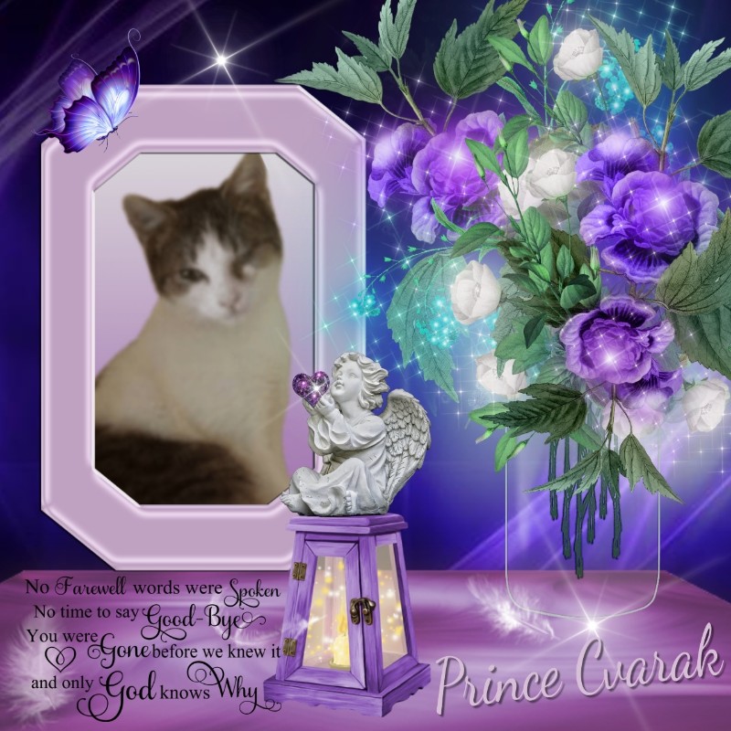 Prince Cvarak of the zoza1958 family